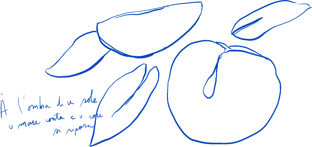 illustration corse mediterranee immo du cap