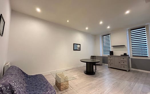 SALON APPARTEMENT