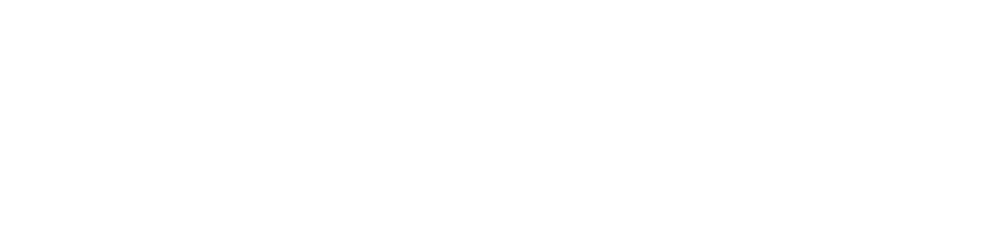 logo light